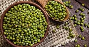 KACANG HIJAU