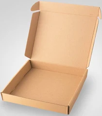 BOX 20 X 20